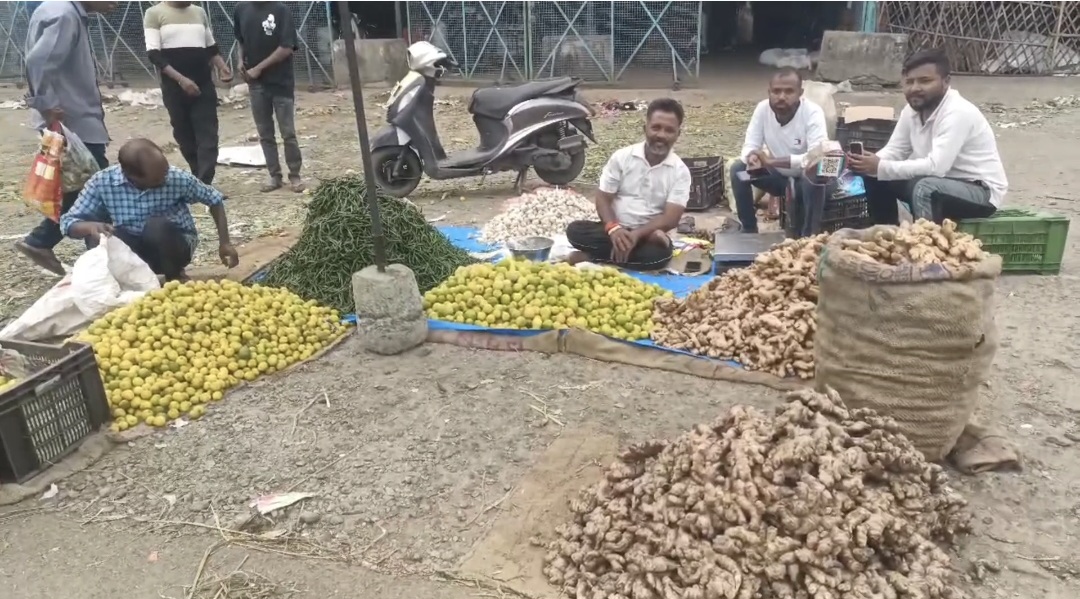 सब्जियों के दाम में 50% की  गिरावट यहां 100 रुपये में मिल रही है झोला भर कर सब्जियां